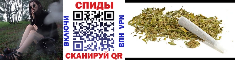 закладки  Новосокольники  Бутират бутандиол 