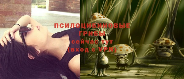 а пвп мука Арсеньев