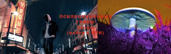 а пвп мука Арсеньев